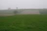 Stacks Image 105