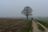 Stacks Image 87