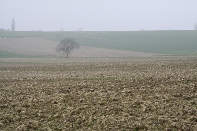 Stacks Image 228